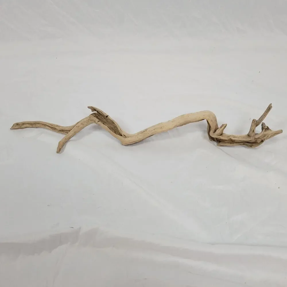Ohio River Driftwood 27